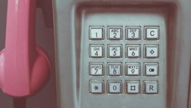 phone number identification search