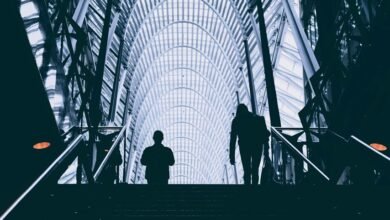 business dynamics insight framework