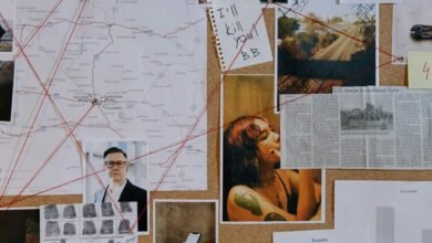 business intelligence data set