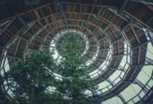 competitive landscape analysis framework