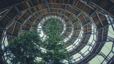 competitive landscape analysis framework