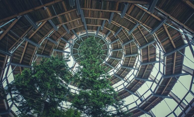 competitive landscape analysis framework