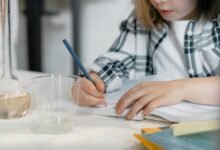 data analysis and insights