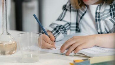 data analysis and insights