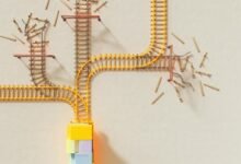 distributed node signal alignment