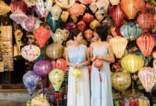 market interaction analysis summary