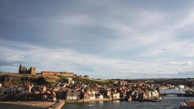 signal correlation analysis summary