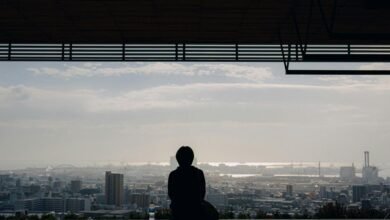 strategic data overview analysis