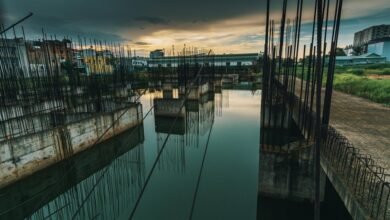 dynamic progress models overview