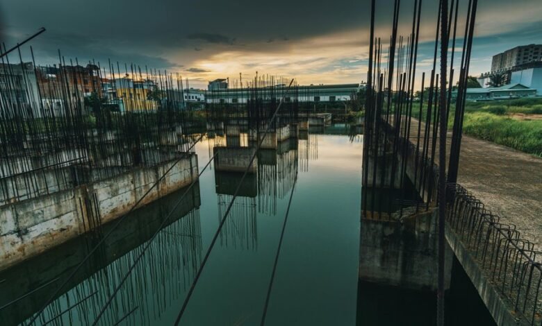 dynamic progress models overview