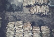 safety concerns call records