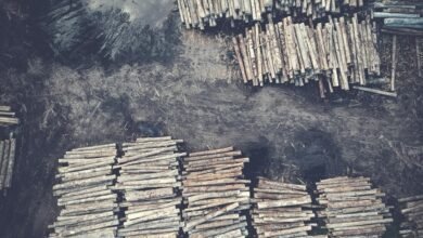 safety concerns call records