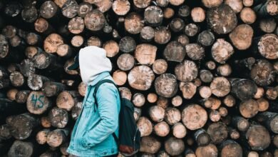 user profile and activity