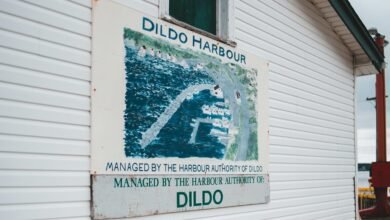 zenith edge authority analysis