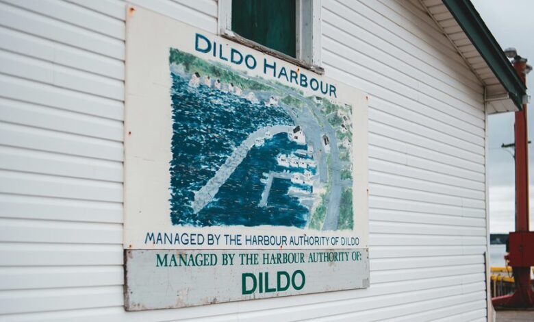 zenith edge authority analysis