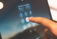 phone number focused update today