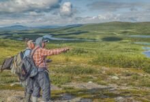 the ultimate guide highlights tips