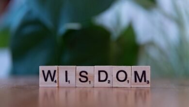 tomoson key learning reasons