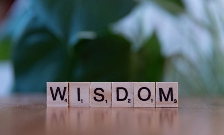 tomoson key learning reasons